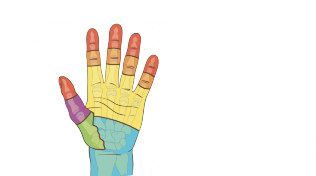 Code couleur: attelles et positions d’immobilisations de la main et du poignet en urgence